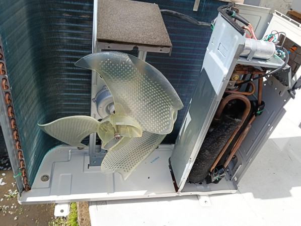 Imagen 10 de servicio