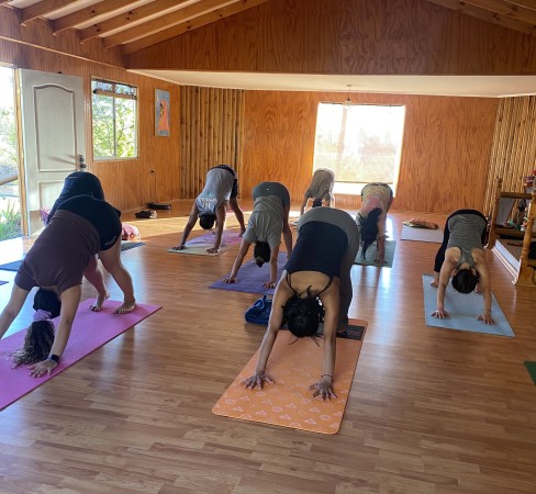 Imagen 2