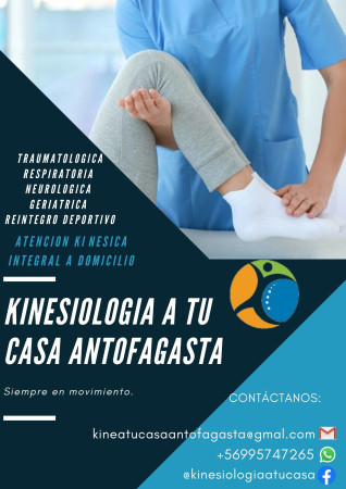 Imagen 2