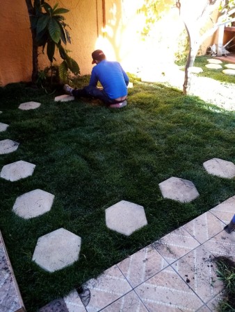 Imagen 3 de servicio
