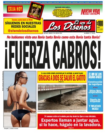 Imagen 3 de servicio