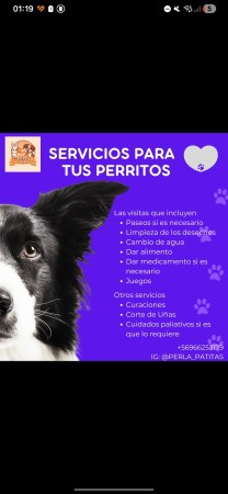 Imagen 0