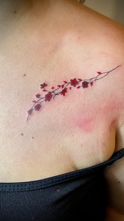 Imagen 36 de servicio