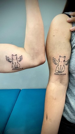 Imagen 41 de servicio