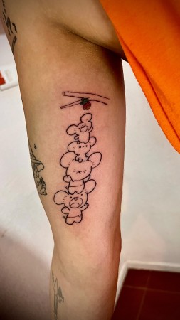 Imagen 39 de servicio