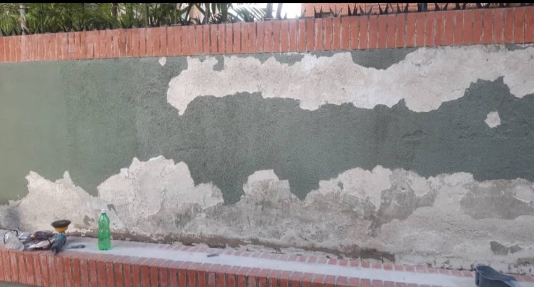 Imagen 0