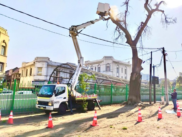 Imagen 20 de servicio