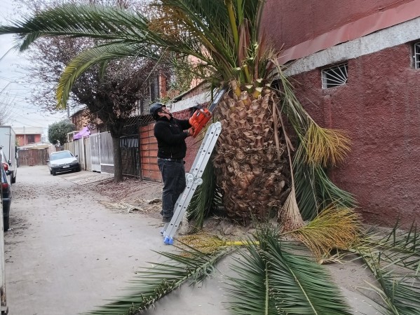Imagen 8 de servicio