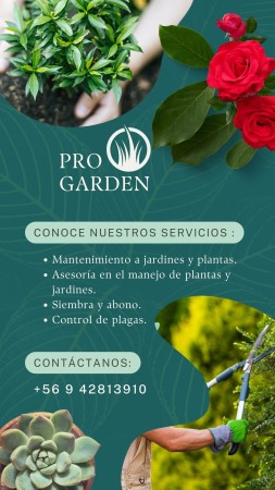 Imagen 0