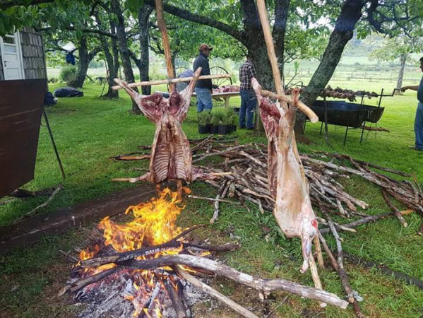 Imagen 8 de servicio