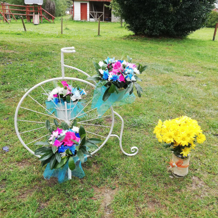 Imagen 12 de servicio