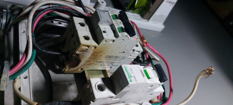 Imagen 8 de servicio