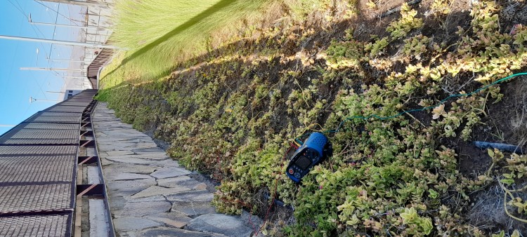 Imagen 32 de servicio