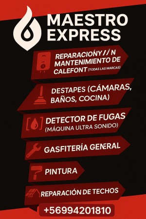 Imagen 5 de servicio