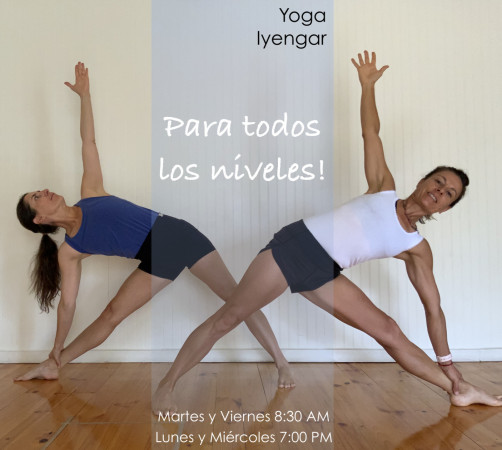 Imagen 5 de servicio