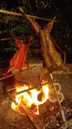 Imagen 10 de servicio