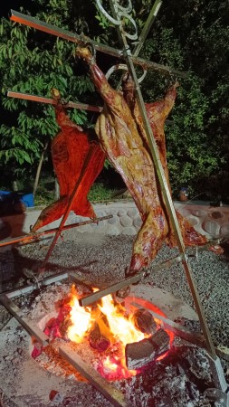 Imagen 13 de servicio