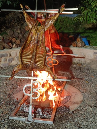 Imagen 14 de servicio