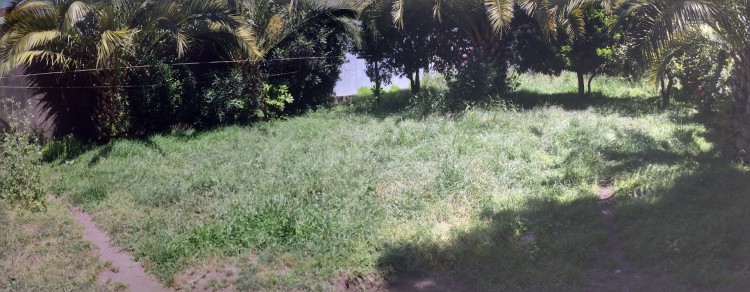 Imagen 5 de servicio