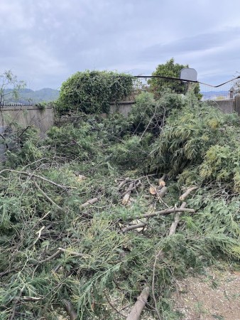 Imagen 11 de servicio