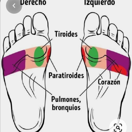 Imagen 22 de servicio