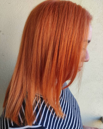 Imagen 6 de servicio