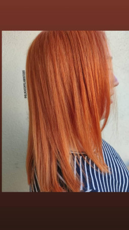 Imagen 10 de servicio