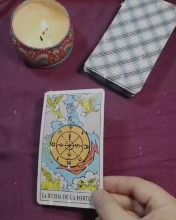 Imagen principal del servicio