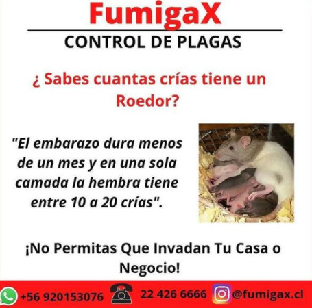 Imagen 0