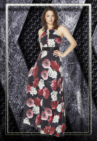 Imagen 16 de servicio