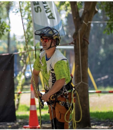 Imagen 28 de servicio