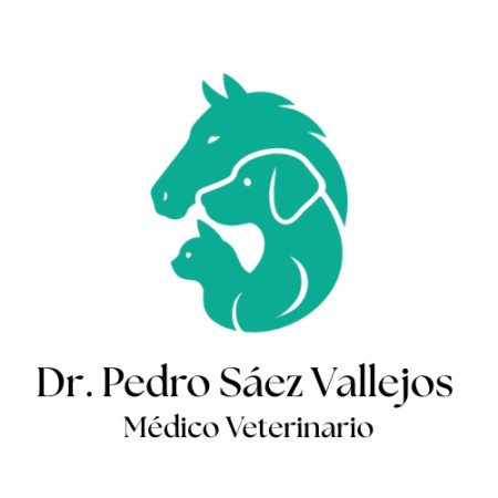 Imagen principal del servicio