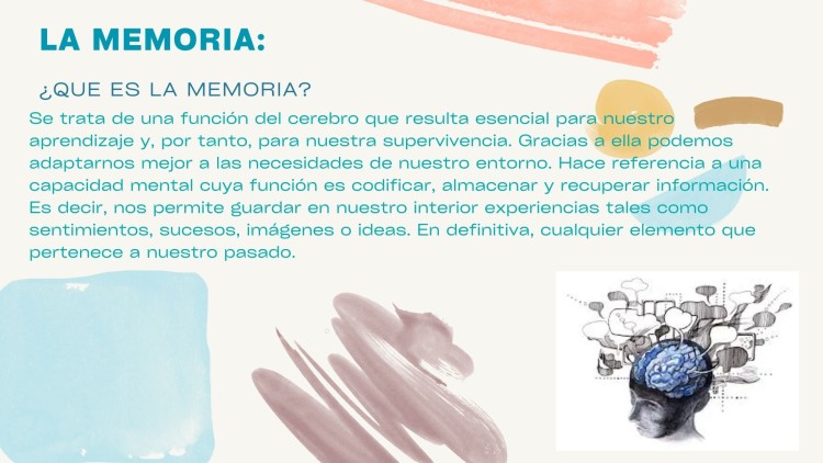 Imagen principal del servicio
