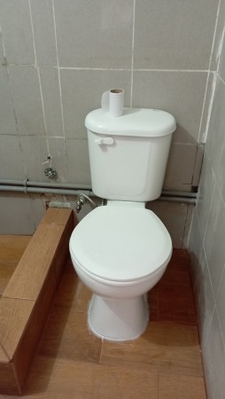 Imagen 25 de servicio