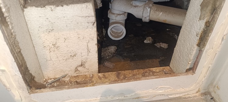 Imagen principal del servicio