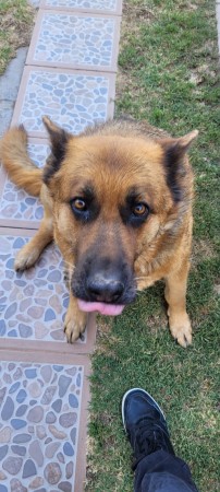 Imagen principal del servicio