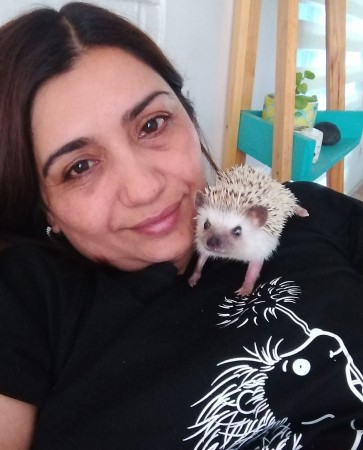 Imagen principal del servicio