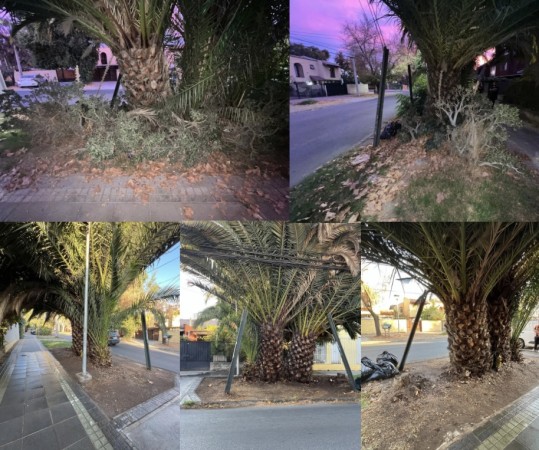 Imagen 1
