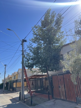 Imagen 4 de servicio