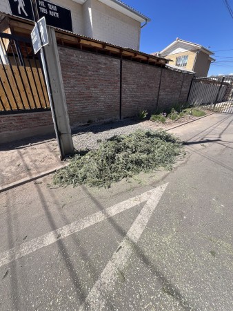 Imagen 5 de servicio