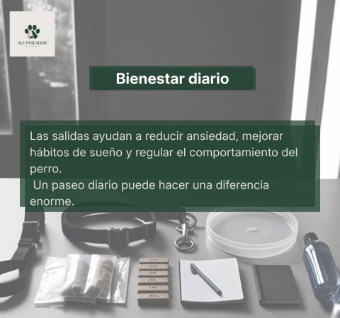 Imagen principal del servicio