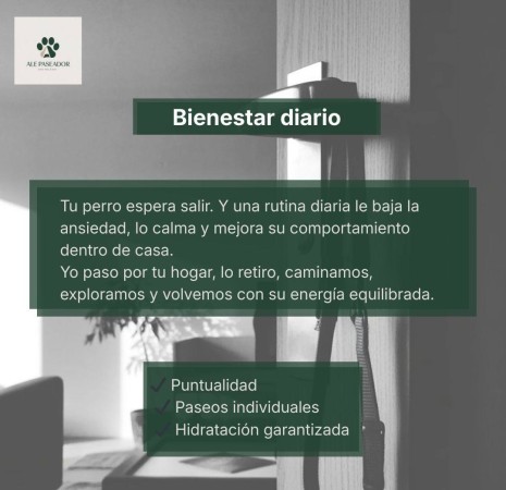 Imagen principal del servicio