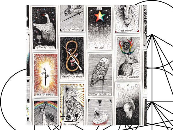 Imagen 5 de servicio