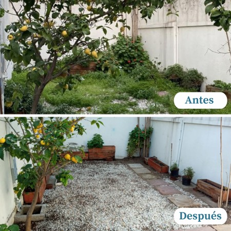 Imagen 7 de servicio