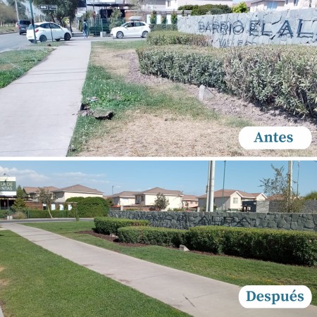 Imagen 8 de servicio