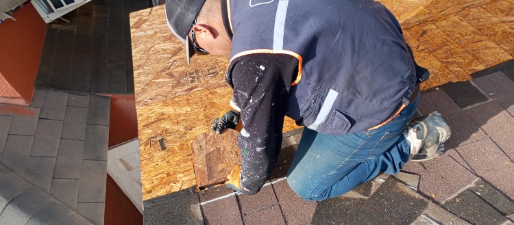 Imagen 12 de servicio