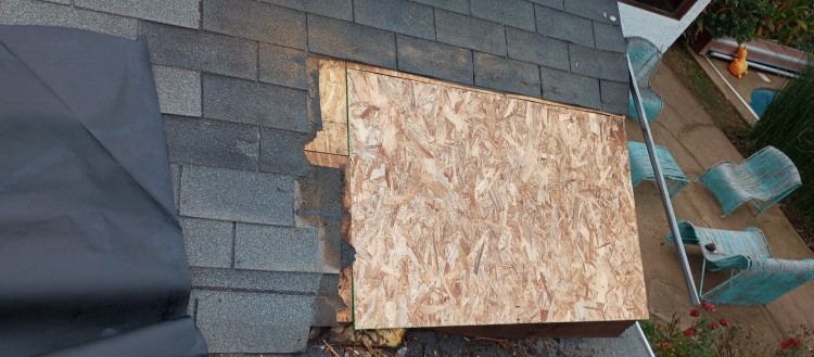 Imagen 18 de servicio