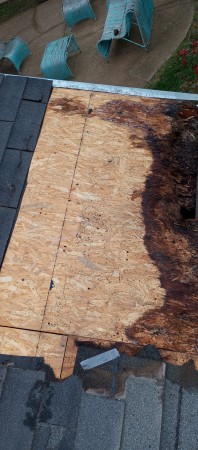 Imagen 21 de servicio