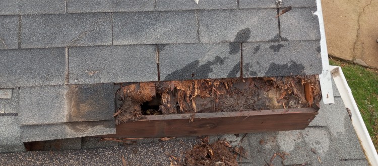 Imagen 22 de servicio