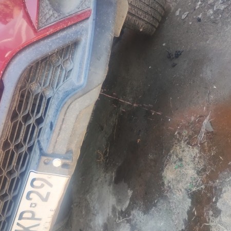 Imagen 24 de servicio